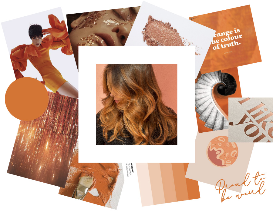 moodboard of Bruna Viola a collage of picture in color orange
